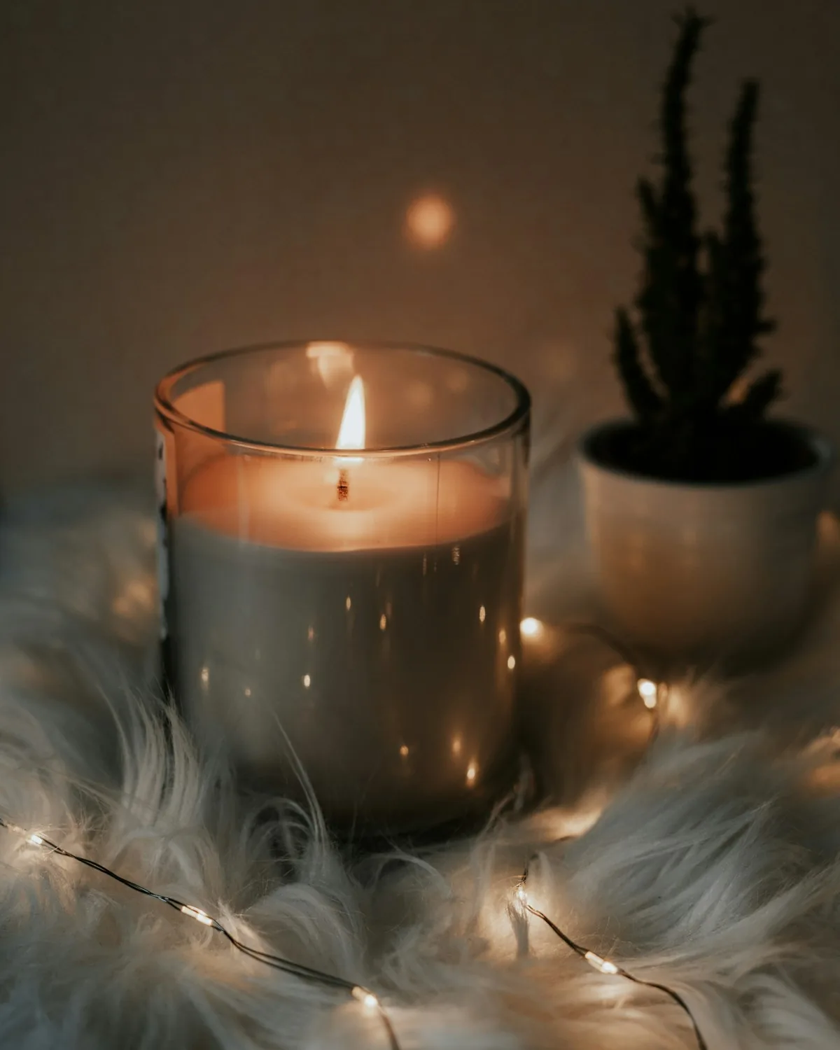 Cedar & Smoke candle burning beside a small plant